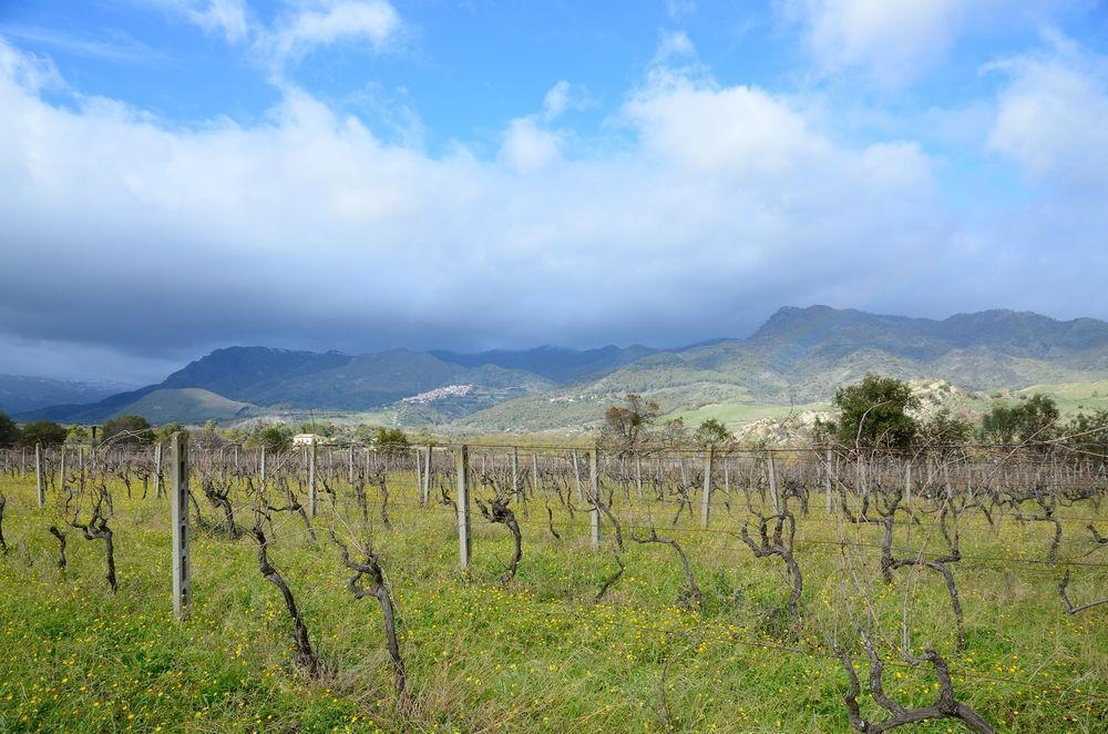 Il Tanaceto Ξενοδοχείο Castiglione De Sicilia Εξωτερικό φωτογραφία
